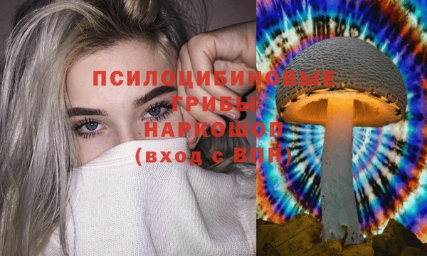 соль курить ск Алзамай